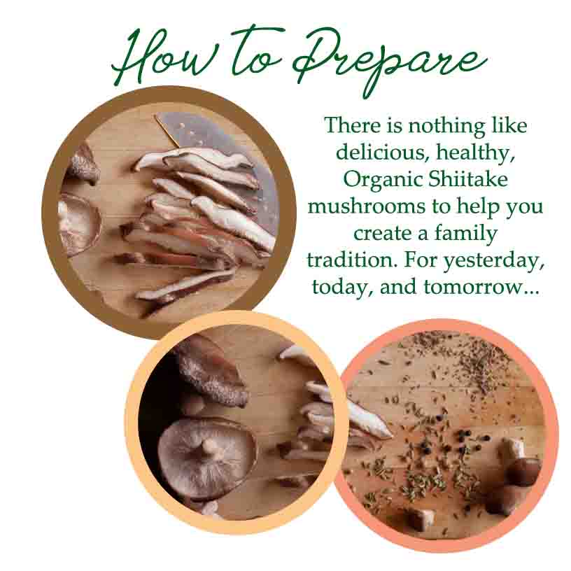 how to prepare shiitake mushrooms recipes certified organic shiitake mushrooms oregon food safety vegan